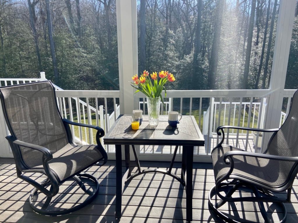 Is a Screened In Porch Worth It? RiteScreen Shop